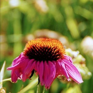 Meet your Posher, Shiwonda